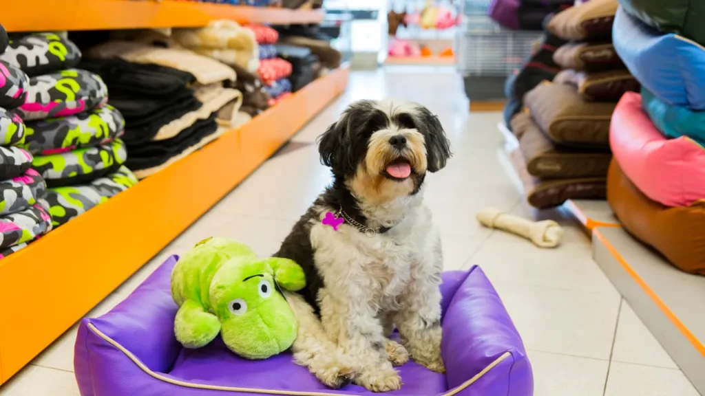 O que usar para mau hálito de cachorro O que usar para mau hálito de cachorro