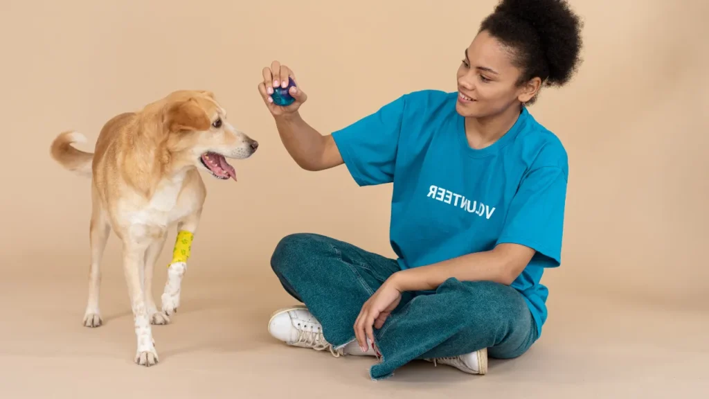O que usar para mau hálito de cachorro O que usar para mau hálito de cachorro