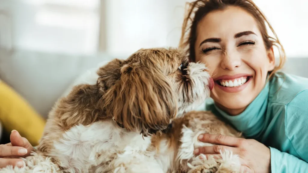 O que usar para mau hálito de cachorro