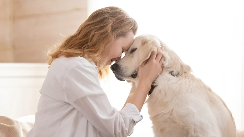 O que é bom para mau hálito de cachorro